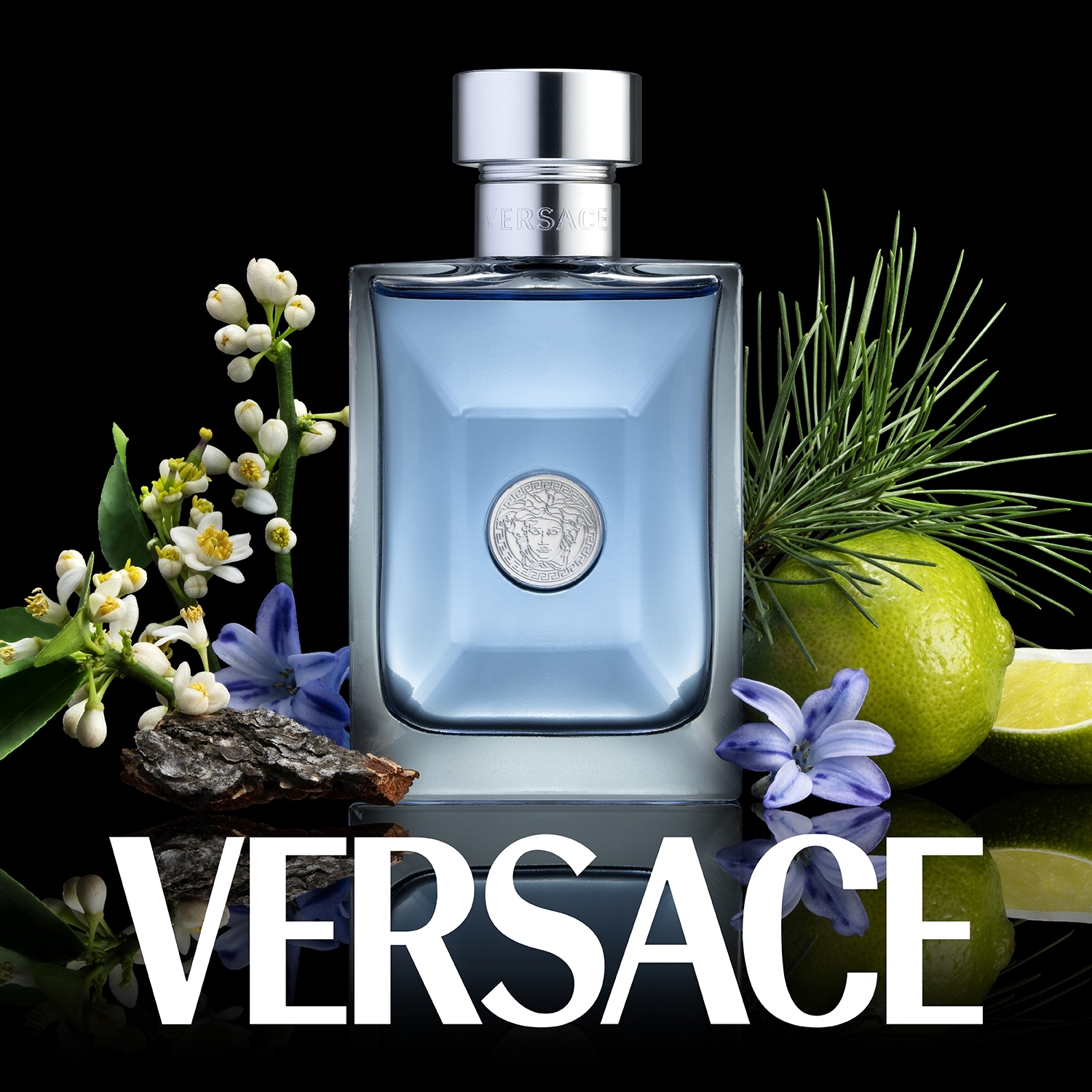 Versace Pour Homme EDT 2